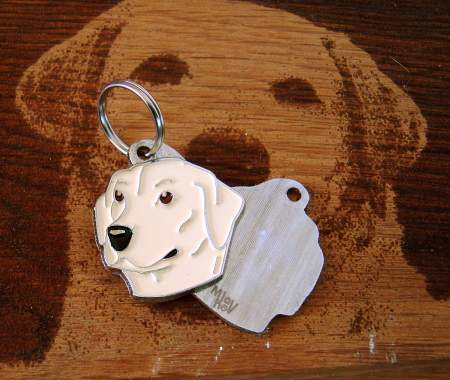 Obesek za psa pasme labradorec